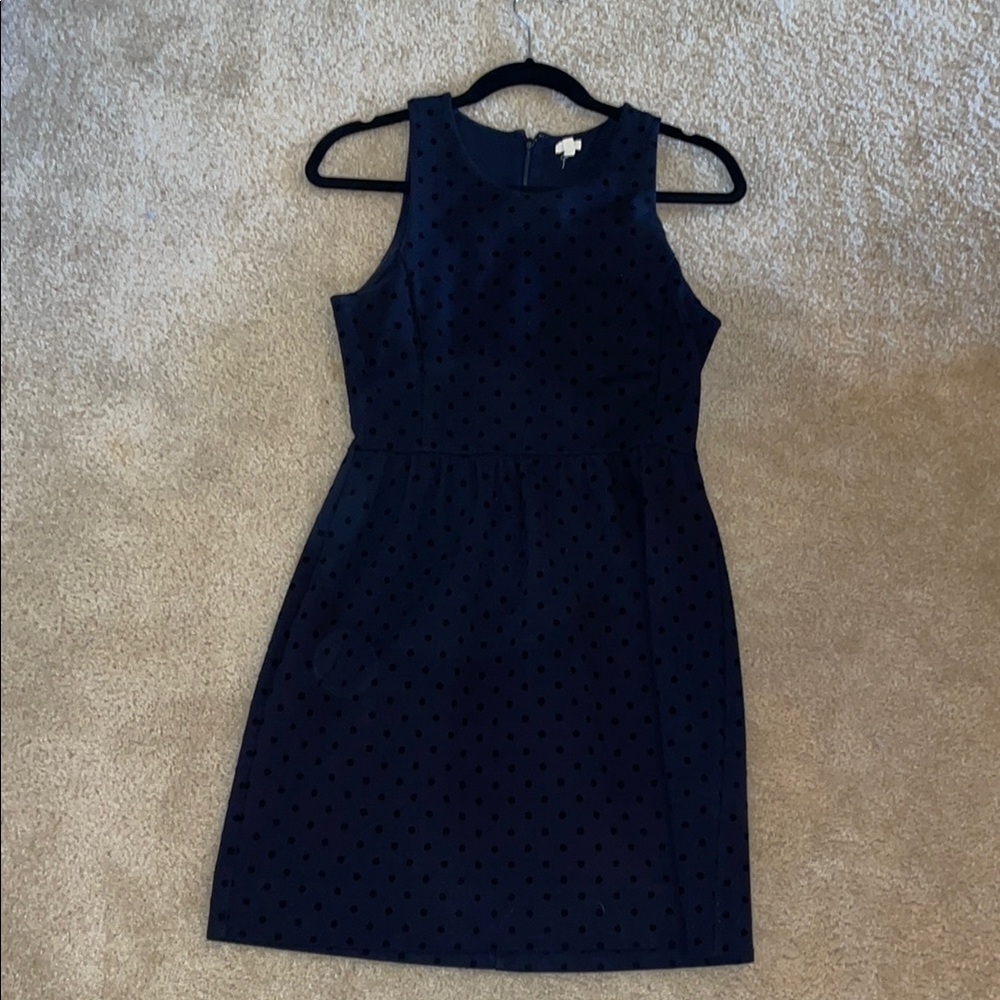 J Crew Black Swiss Dot Sleeveless Dress